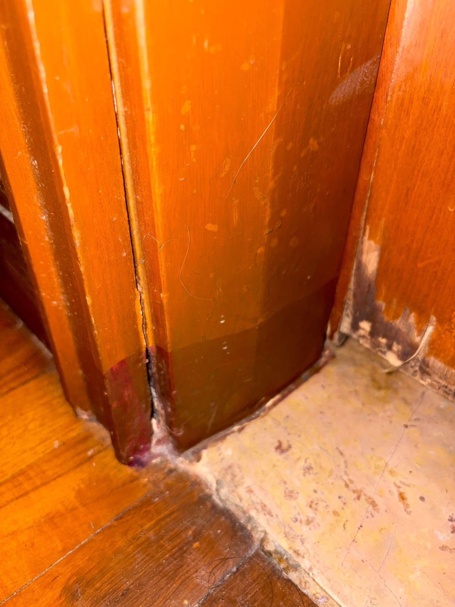 Door Repair vs Door Replacement: Which One Do You Need?