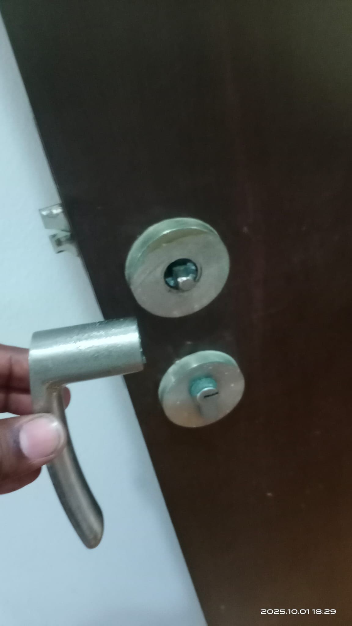 Door Handle & Accessories Replacement