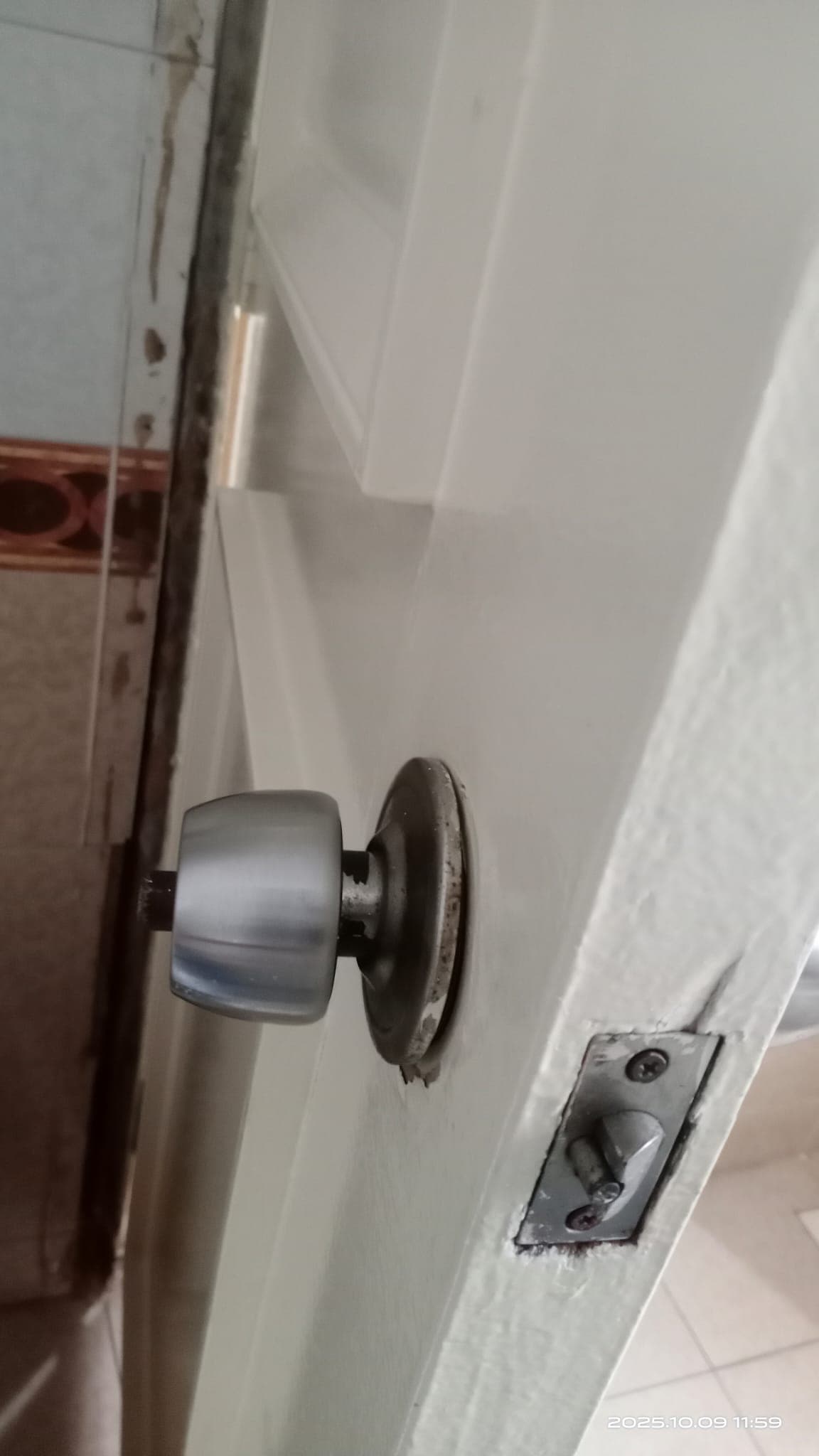 Door Lock Replacement & Installation