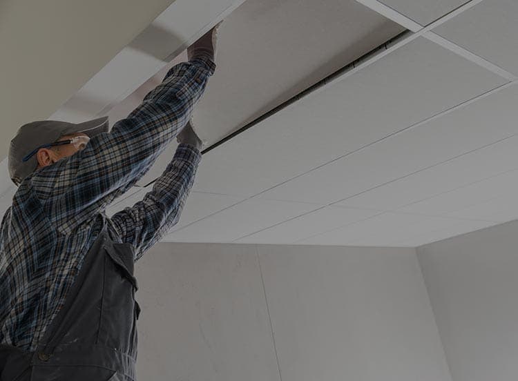 Ceiling & Partition Works